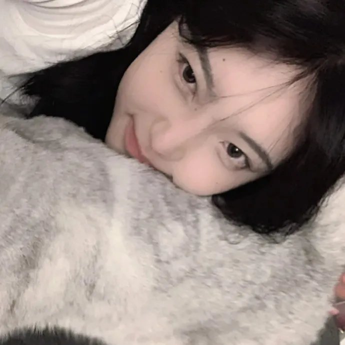 小夜莺